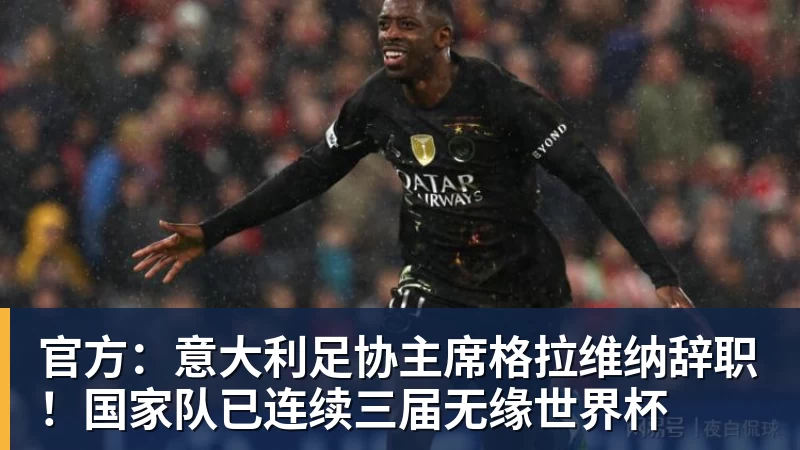 好博体育官方：意大利足协主席格拉维纳辞职！国家队已连续三届无缘世界杯