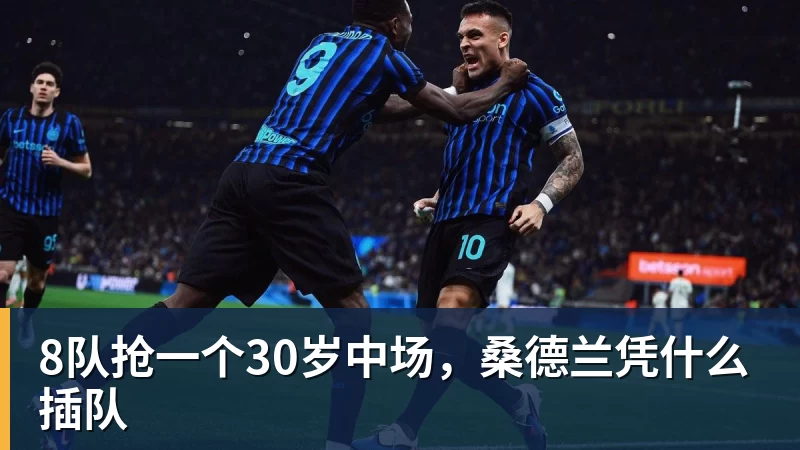 好博体育8队抢一个30岁中场,桑德兰凭什么插队 好博体育8队抢一个30岁中场,桑德兰凭什么插队