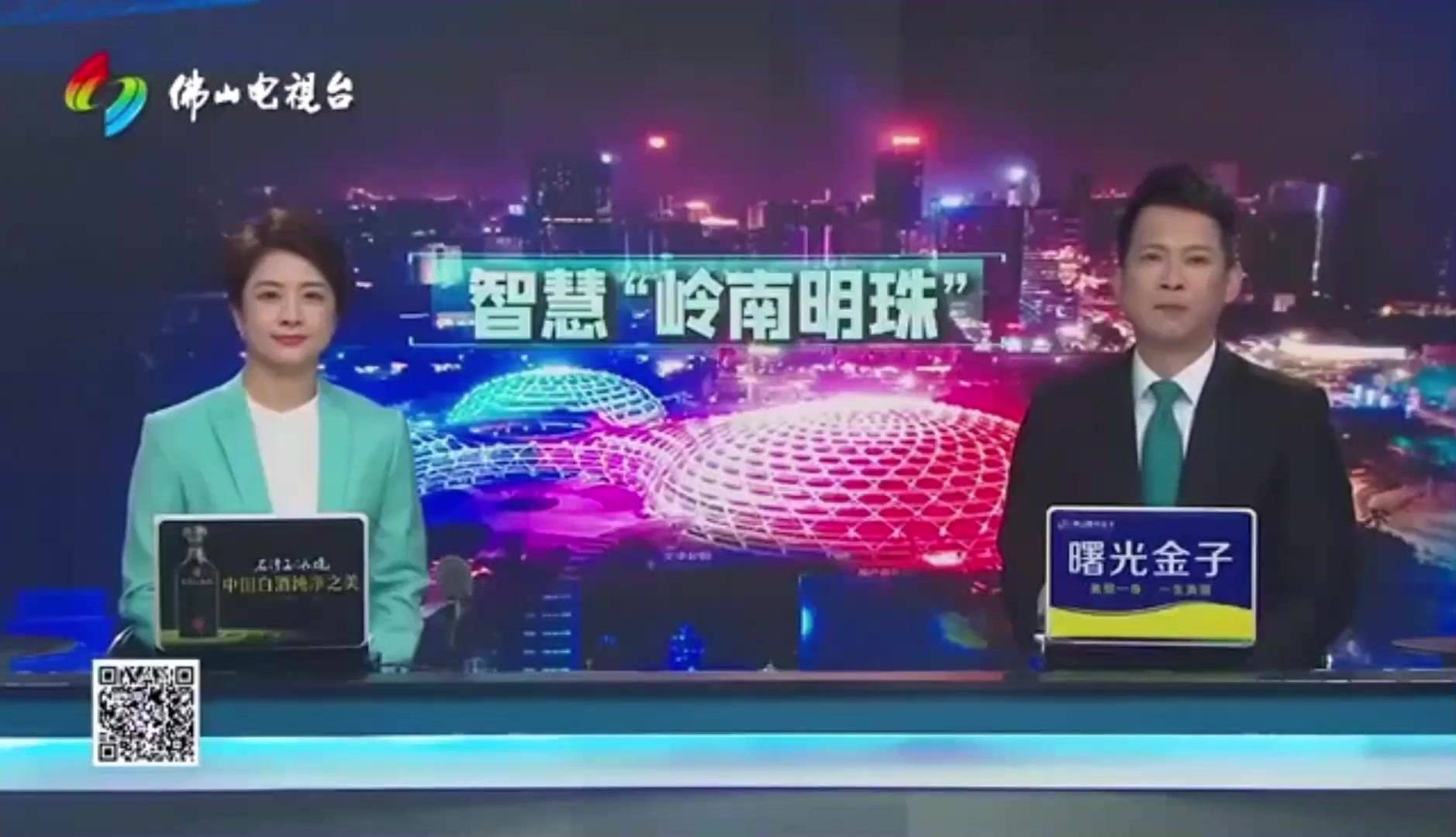 岭南明珠案例（封面）.mp4